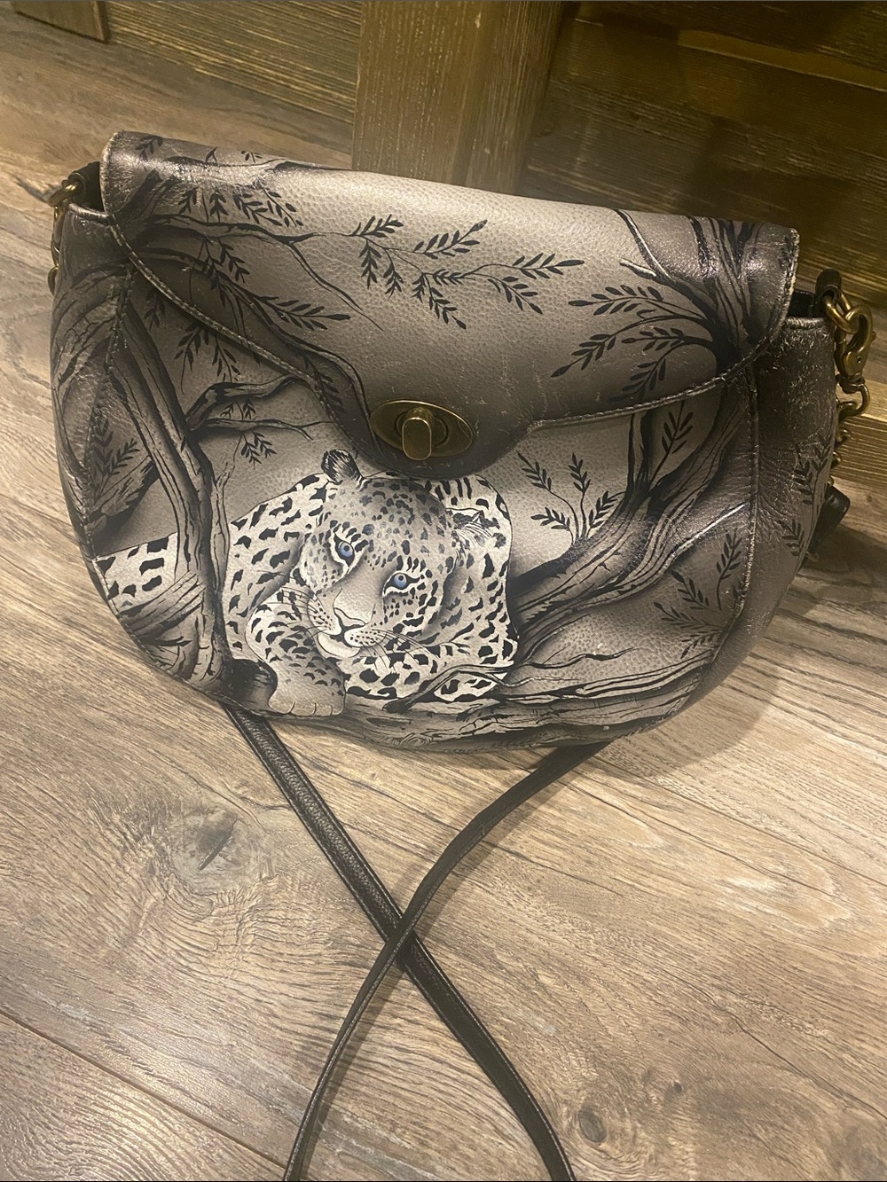 Anuschka purse/crossbody